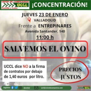 «No hay que firmar ningún contrato por debajo de 1,4 €/l leche de oveja» dice UCCL