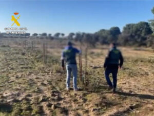 Tres detenidos por sustraer tutores de Alcornoque en Sevilla