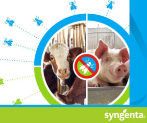 Una granja libre de moscas con la estrategia de Syngenta