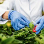 cientifico analizando la proteina BDH