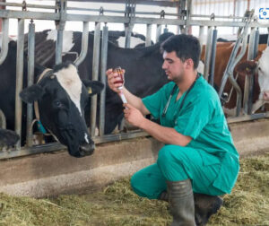 Se registra solo un 0,11 % de incumplimientos en residuos veterinarios