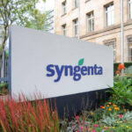 syngenta