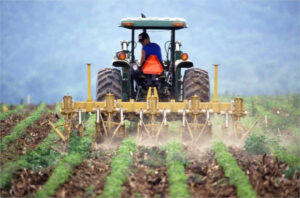 Convenio del campo de Ciudad Real: reducción de jornada y actualización de salario