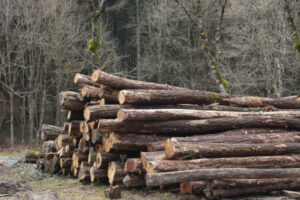 Navarra lanza ayudas para modernizar la transformación de la madera