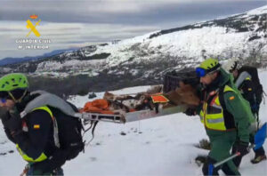 La Guardia Civil rescata a varios animales de granja atrapados por la nieve