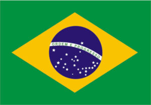 Brasil confirma su primer caso de gripe aviar en avicultura comercial