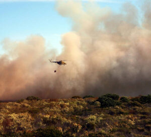 Portugal, Ucrania y los Balcanes, las zonas más afectadas por los incendios de 2024