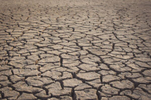 Canarias, la región española más castigada por el aumento de la aridez climática