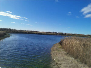 Para las Tablas de Daimiel, agua y “más tablas”