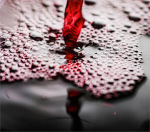 El futuro de la viticultura en Ribera del Duero, en riesgo por la caída de precios