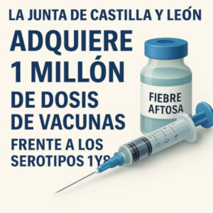 Castilla y León adquiere un millón de dosis contra los serotipos 1 y 8 de lengua azul