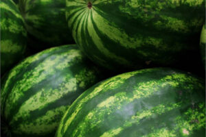 Recomiendan prudencia y planificación antes de sembrar melón y sandía en CLM