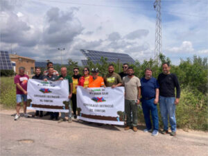 Una planta solar pone en riesgo 126.000 cítricos en la Plana Baixa (Castellón)