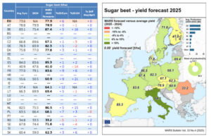 La sequía podría comprometer los rendimientos de remolacha en el centro de Europa
