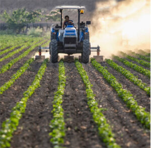 El Gobierno aprueba 315 M€ para el 46º Plan de Seguros Agrarios Combinados