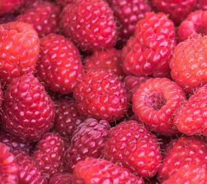 El sector de frutos rojos crece un 6% en exportaciones
