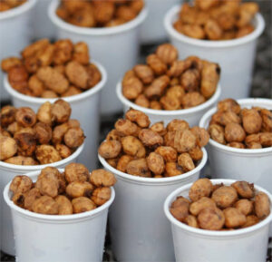 Piden un código TARIC para controlar la importación de chufa