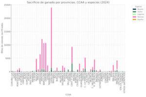 Cataluña lidera el sacrificio de ganado en mataderos en 2024 con más de 22 millones de cabezas de porcino