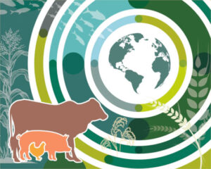 OCDE-FAO: El consumo mundial de alimentos animales crecerá en la próxima década, así como la producción