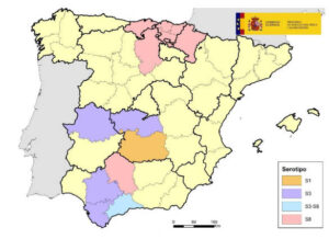 Confirmados focos de lengua azul en 15 provincias durante la temporada vectorial 2024/2025