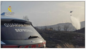 Detenida una mujer por presunta provocación de incendios forestales