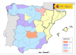 El comité de la Red de Alerta Sanitaria Veterinaria recomienda incrementar la vacunación contra la lengua azul