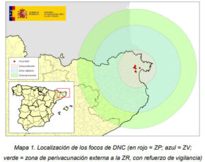 Ya se han confirmado 9 focos de dermatosis nodular contagiosa