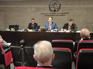 La OCV se ratifica: hay que habilitar legalmente a los veterinarios para la venta al por menor de los medicamentos