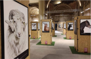 El Roadshow Bestiarium de INTEROVIC llega a Madrid para celebrar la cultura rural y la ganadería sostenible