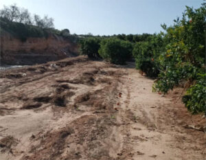 AVA-ASAJA acusa a la CHJ de frenar las reparaciones en campos dañados por la DANA