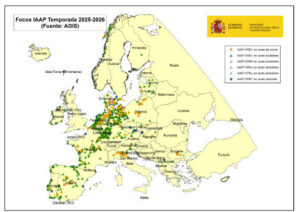 Aumentan los brotes de influenza aviar en Europa