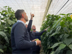 La Junta de Andalucía concede 33,5 M€ en ayudas por daños meteorológicos al sector agrario
