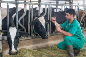 Residuos de medicamentos veterinarios en los alimentos: cuáles son las últimas novedades en la UE?