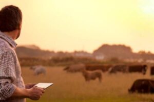 El MAPA crea una mesa estatal para coordinar los controles de bienestar animal