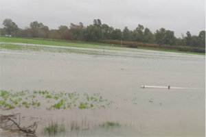 Inundaciones catastróficas en Cádiz