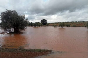 Temporal Leonardo: alivio para los pantanos pero  ruina de las cosechas