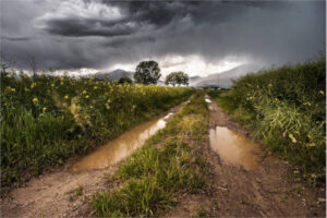 Castilla y León flexibiliza ciertos requisitos en la PAC 2026 por la meteorología extrema