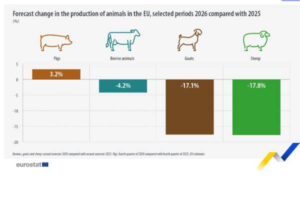 ¿Cuál es la tendencia de la producción ganadera en la UE en 2026?