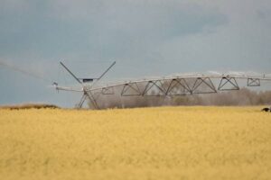 Tres proyectos del CSIC para que el regadío español gaste menos agua
