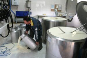 Las OPAs de Castilla y León piden a la industria láctea quince días más para negociar los contratos