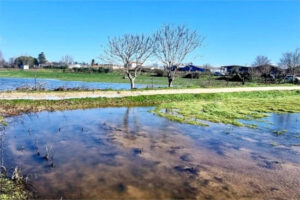 El Gobierno aprueba las líneas de financiación de 100 M€ por las borrascas en Andalucía y Extremadura