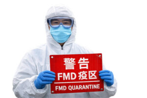 Se detecta la fiebre aftosa en China y se propaga en Grecia y Chipre