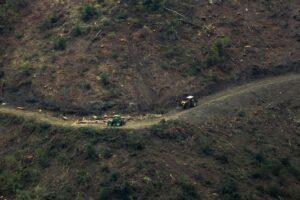 El reglamento antidesforestación llega a su revisión clave con el sector en pie de guerra