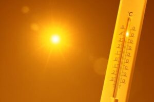 La FAO sitúa a la cuenca mediterránea en el epicentro del riesgo por calor extremo