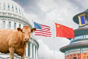 China reactiva la importación de vacuno USA tras la cumbre bilateral