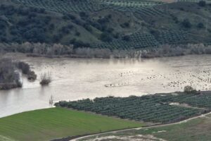 Productores granadinos piden la publicación del tercer listado de ayudas por borrascas