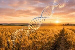 ‘Sí’ definitivo del Parlamento Europeo para el uso de la edición genética en la agricultura