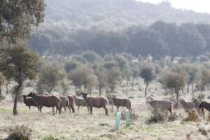 UPA: “La agricultura familiar debe ser la columna vertebral de cualquier política ambiental seria”