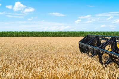 Castilla y León pierde 4 de cada 10 kilos de cereal por el calor