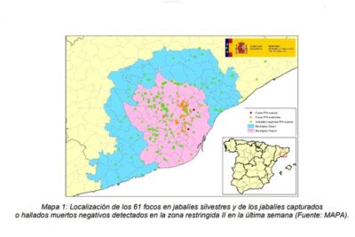La PPA suma 61 focos en jabalíes de Cataluña